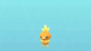 アチャモ個体値CP一覧