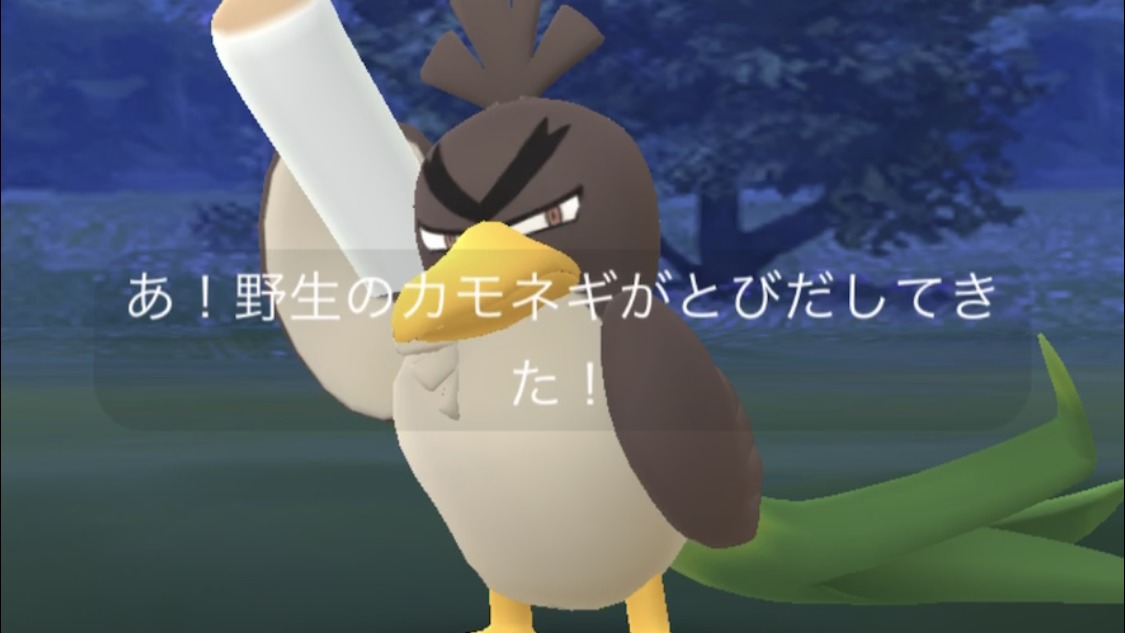 ポケモン ペンギン