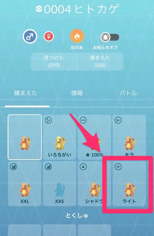 ポケモン図鑑のライト