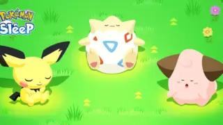 ポケモンすくすくウィーク第5回