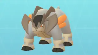 テラキオン図鑑画像