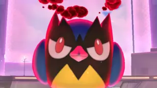 ダイマックスココガラ