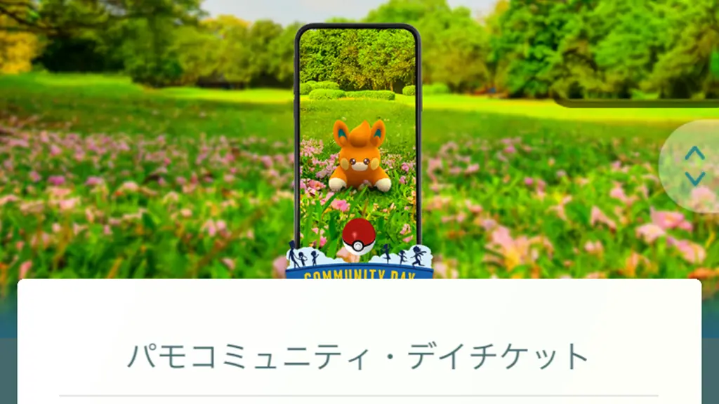 パモコミュニティデイスペシャルリサーチ