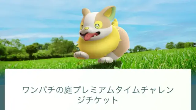 ワンパチの庭プレミアムタイムチャレンジ