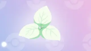 まっしろミント