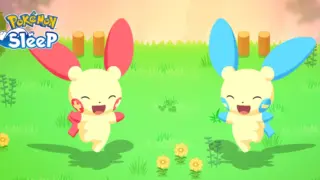 キモリ アチャモ ミズゴロウ Yahoo!オークション -「キモリ アチャモ ミズゴロウ」(ゲーム
