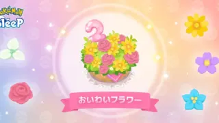 おいわいフラワー