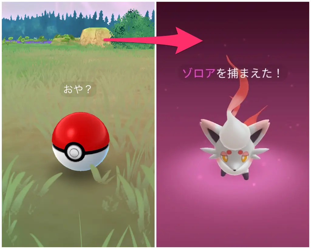 ヒスイゾロアのゲット