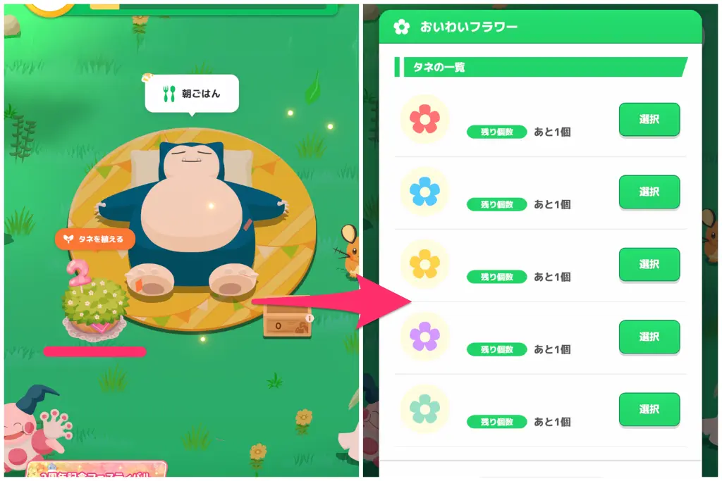 おいわいフラワータネの選択