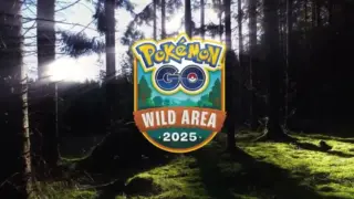 ワイルドエリア2025