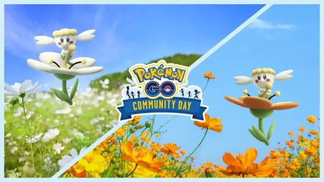 フラベベコミュニティデイ