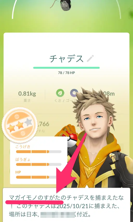 チャデスチームリーダー評価