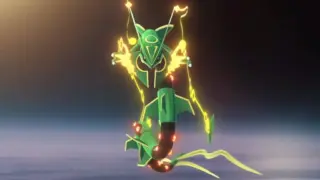 メガレックウザ対策
