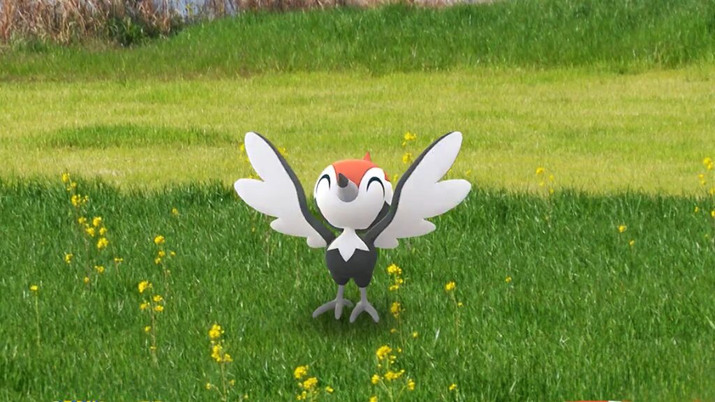 ツツケラコミュニティデイ攻略ガイド