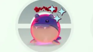 ダイマックスタマザラシ対策