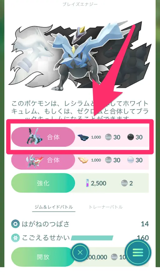 ブラックキュレムへの合体ボタン