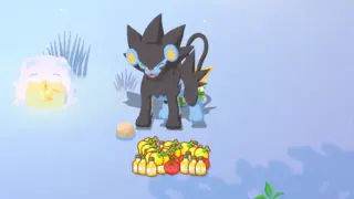 食材獲得数量ポケモンランキング