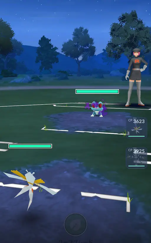 シャドウケロマツとの遭遇