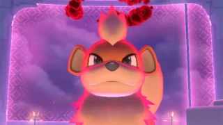 ダイマックスガーディ対策