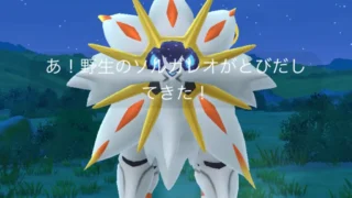 おこうの野生湧き