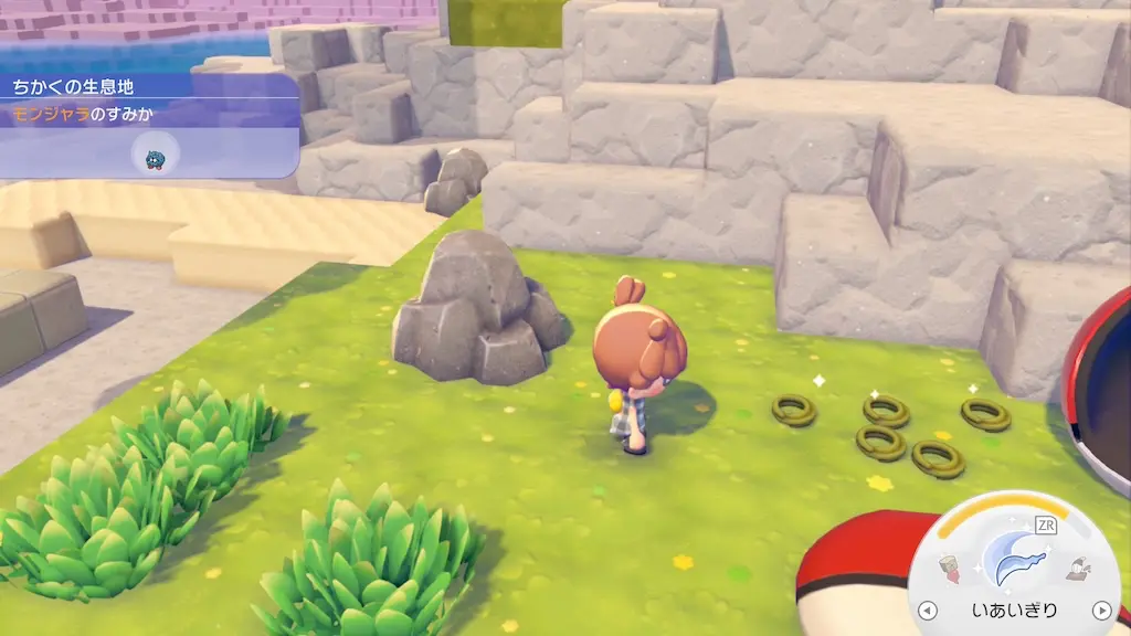 ちらかすで拾ってくるアイテムとポケモン一覧