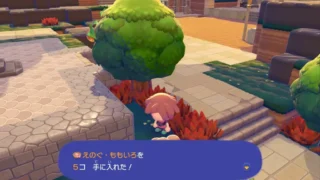 えのぐの入手方法きのみと色の種類一覧