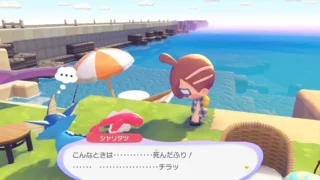 シャリタツたれたすがたの生息地