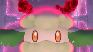 ダイマックスモンメン対策