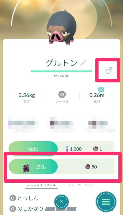 ボックスのグルトンでオスメスを確認
