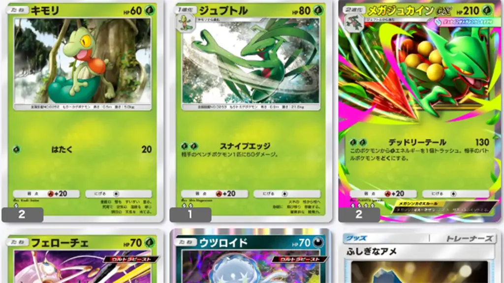 メガジュカインexあまくかおる森デッキレシピ