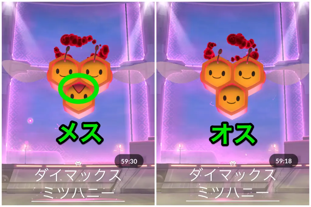 オスメスの判別