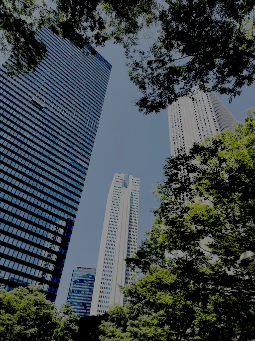 東京都庁付近