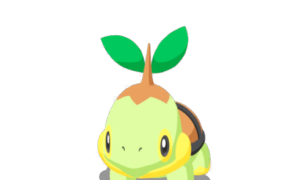 ナエトル