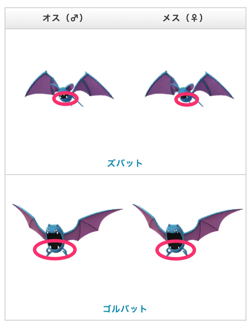 ズバットゴルバットオスメスの違い