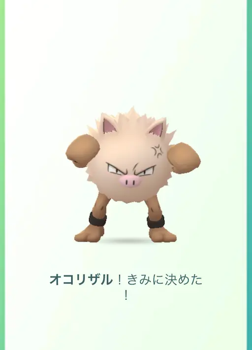 オコリザルを相棒にする