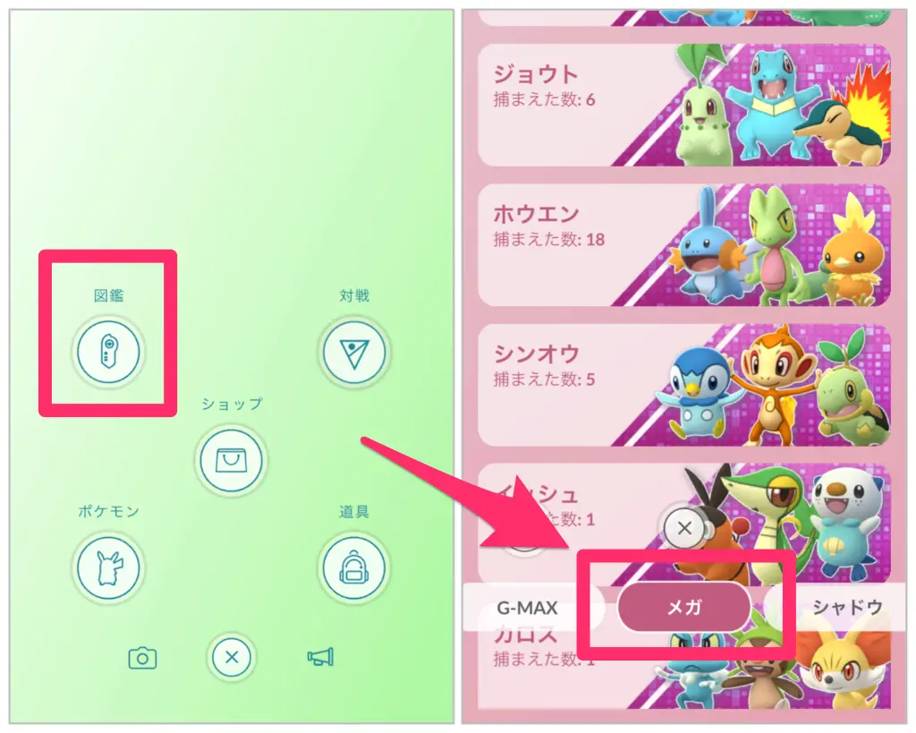 ポケモン図鑑のメガシンカ確認