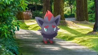 ゾロアコミュニティデイ攻略ガイド