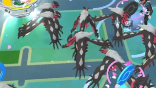 ゾロア相棒おすすめポケモン