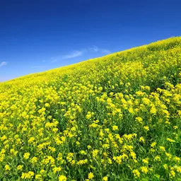 千葉県ロケーション背景