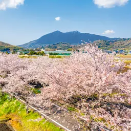 茨城県ロケーション背景