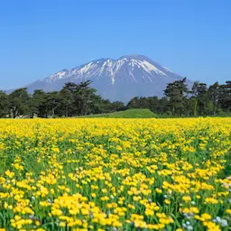岩手県ロケーション背景