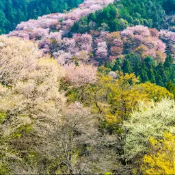 奈良県ロケーション背景
