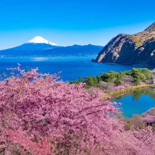 静岡県ロケーション背景
