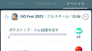 ゴーフェス2025グローバルフルスチーム