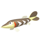 サシカマス