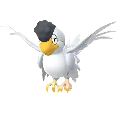 イキリンコ(ホワイトフェザー)