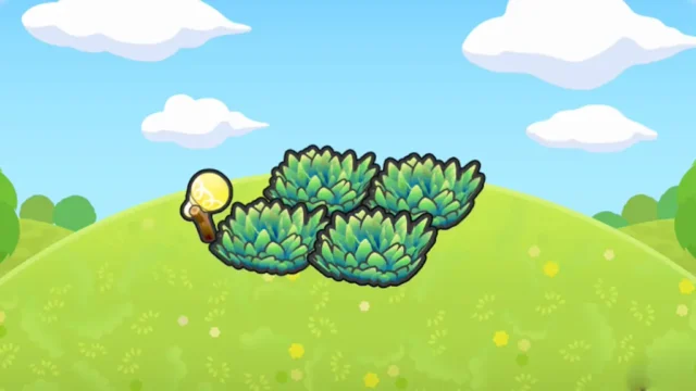 照らされた草むら