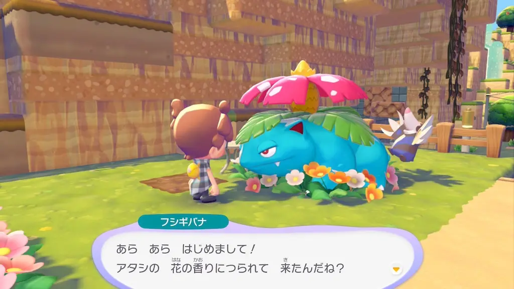 フシギバナの生息地