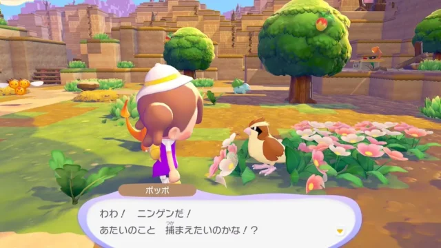 ポッポの生息地