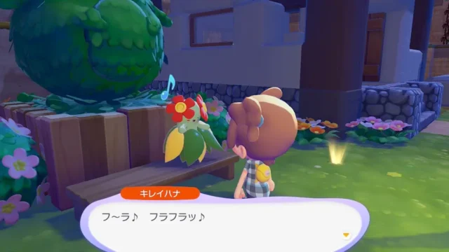 キレイハナの生息地